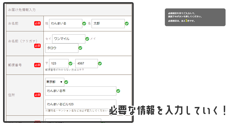 必要な情報を入力していく