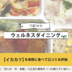 ウェルネスダイニングのイカカツを実食して口コミ＆評価