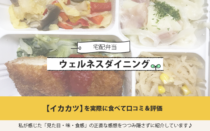 ウェルネスダイニングのイカカツを実食して口コミ＆評価